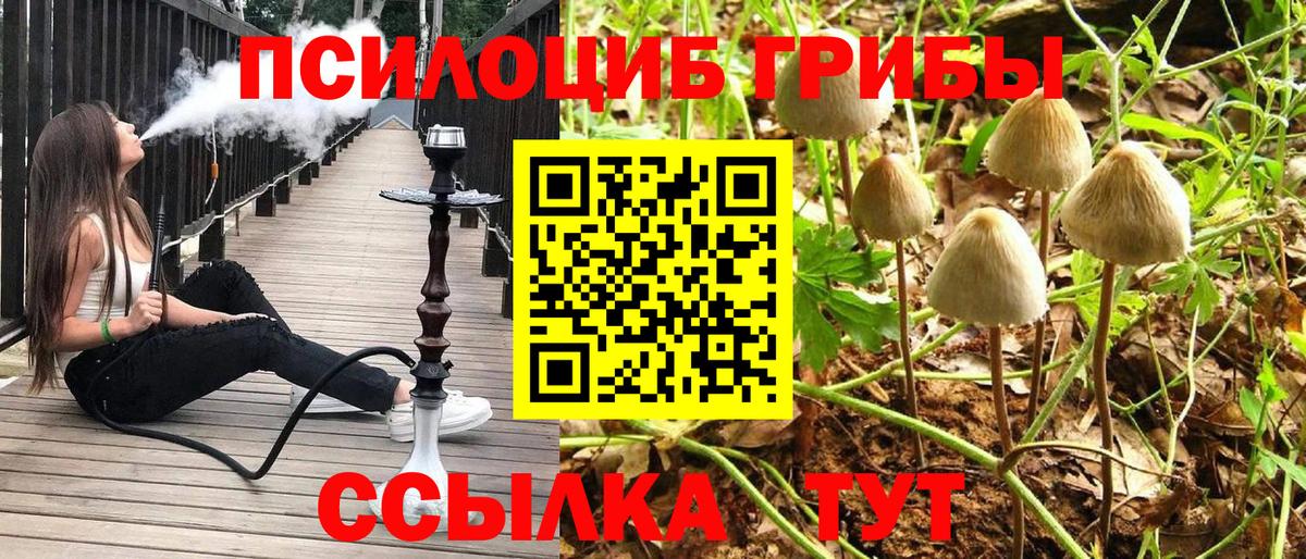 Галлюциногенные грибы прущие грибы Выкса